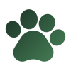 Paws-N-Pines Canine Academy drop-in day structured dog daycare Little Rock Arkansas